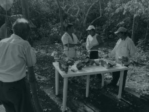 healing-tulum-mayan-ritual